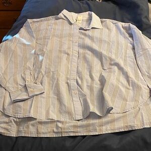 NWT Aerie Blue and White Striped Button Down Shirt